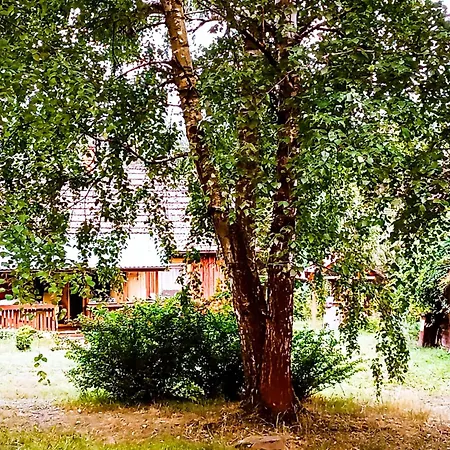 Chalupki - Na Pograniczu Podkarpacia I Lubelszczyzny בית נופש