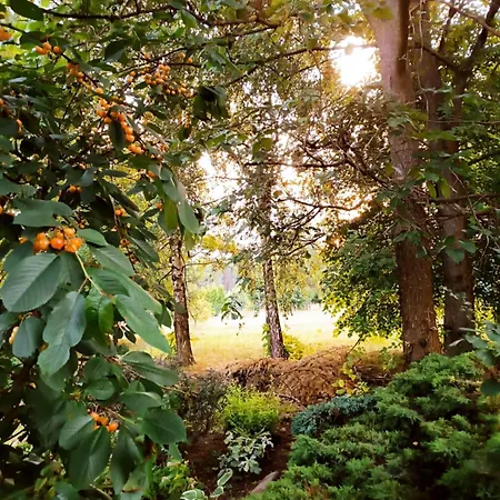 בית נופש Chalupki - Na Pograniczu Podkarpacia I Lubelszczyzny *