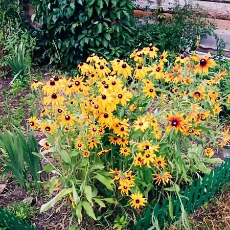 בית נופש Chalupki - Na Pograniczu Podkarpacia I Lubelszczyzny