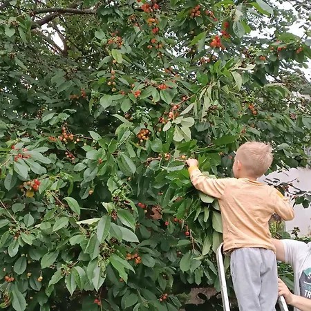Chalupki - Na Pograniczu Podkarpacia I Lubelszczyzny בית נופש